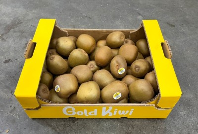 Foto Kiwi Gold Calibro 112/127 Origine Italia Marchio Gold Kiwi   1