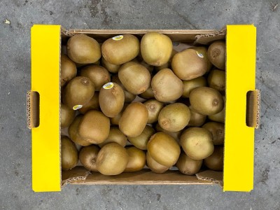 Foto Kiwi Gold Calibro 112/127 Origine Italia Marchio Gold Kiwi   3