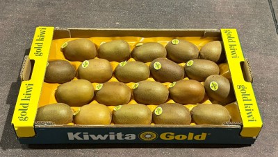 Foto Kiwi Varietà Gold Lavorazione In Padella Calibro 140/160 Origine Italia Marchio Kiwita Gold  1