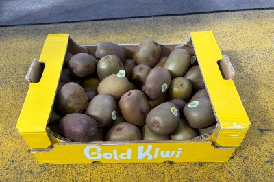 Foto Kiwi Gold Calibro 140/160 Origine Italia Marchio Gold Kiwi   1