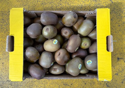 Foto Kiwi Gold Calibro 140/160 Origine Italia Marchio Gold Kiwi   3