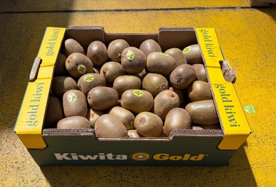 Foto Kiwi Gold Calibro 92/107 Origine Italia Marchio  Kiwita Gold    1