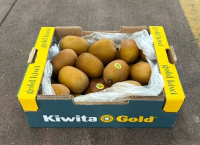Foto Kiwi Golo Calibro 150/190 Origine Italia Marchio Kiwita Gold 1