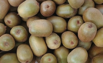 Foto Kiwi Varietà Solei Calibro 20 Origine Chile Marchio Agricola Gloria  2