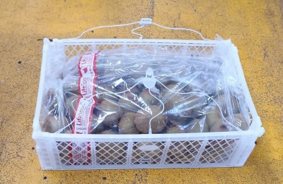Foto Kiwi Varietà Hayward Calibro 23 Origine Chile Marchio Battaglio       1