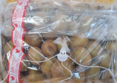 Foto Kiwi Varietà Hayward Calibro 23 Origine Chile Marchio Battaglio       2