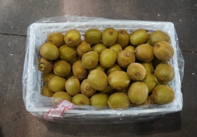 Foto Kiwi Hayward Calibro 23 Origine Cile Marchio Agricola Gloria  3