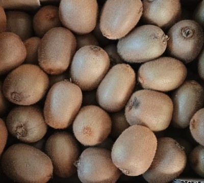 Foto Kiwi Varietà Hayward Calibro 25 Origine Italia Marchio Agrintesa  2