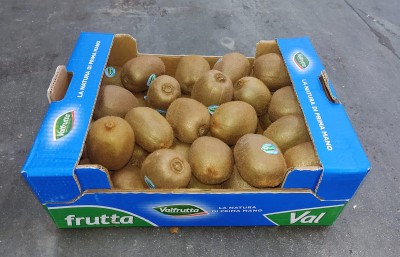 Foto Kiwi Varietà Hayward Calibro 18 Origine Italia Marchio Valfrutta 1