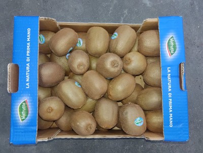 Foto Kiwi Varietà Hayward Calibro 18 Origine Italia Marchio Valfrutta 3