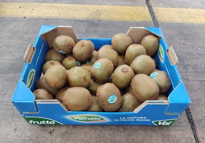 Foto Kiwi Varietà Hayward Calibro 160/180 Origine Italia Marchio Valfrutta  1