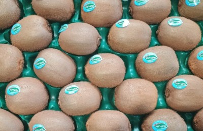 Foto Kiwi Varietà Hayward Calibro 23 Origine Italia Marchio Valfrutta  2