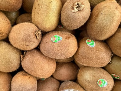 Foto Kiwi Hayward Origine Italia Marchio Del Monte 2