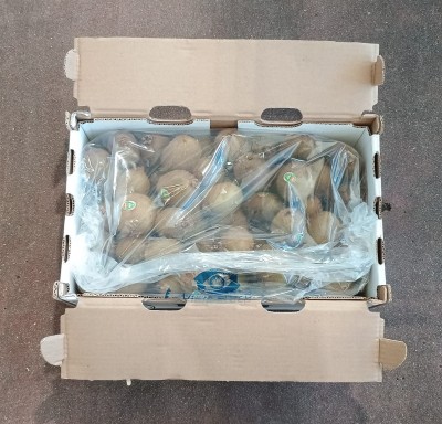 Foto Kiwi Varietà Hayward Calibro 27 Origine Chile Marchio Dori  1