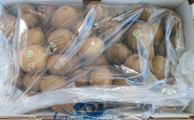 Foto Kiwi Varietà Hayward Calibro 27 Origine Chile Marchio Dori  2