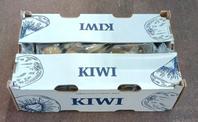 Foto Kiwi Varietà Hayward Calibro 27 Origine Chile Marchio Dori  3