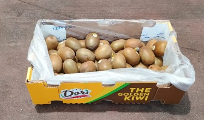 Foto Kiwi Gold Calibro 27 Origine Chile Marchio Dori  1