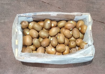 Foto Kiwi Gold Calibro 27 Origine Chile Marchio Dori  3