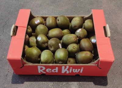 Foto Kiwi Red Calibro 92/107 Origine Italia Marchio Red Kiwi  1