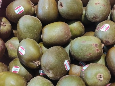 Foto Kiwi Red Calibro 92/107 Origine Italia Marchio Red Kiwi  2