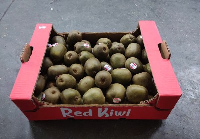 Foto Kiwi Red Calibro 78/88 Origine Italia  Marchio Red Kiwi 1