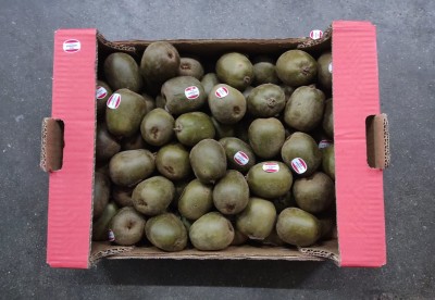 Foto Kiwi Red Calibro 78/88 Origine Italia  Marchio Red Kiwi 3