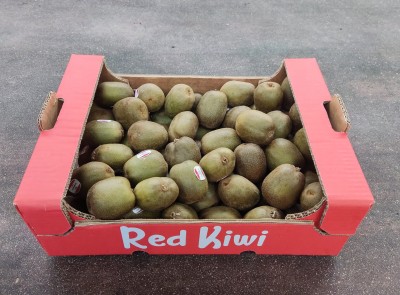 Foto Kiwi Red Calibro 85/100 Origine Italia  Marchio Red Kiwi 1