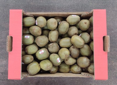 Foto Kiwi Red Calibro 85/100 Origine Italia  Marchio Red Kiwi 2