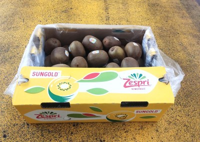 Foto Kiwi Gold Calibro 25 Origine Italia Marchio Zespri   1