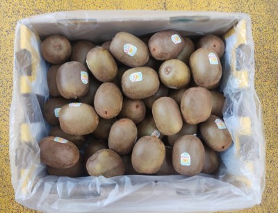 Foto Kiwi Gold Calibro 25 Origine Italia Marchio Zespri   3