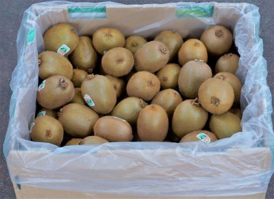 Foto Kiwi Varietà Green Calibro 25 Origine Nuova Zelanda  Marchio ''Zespri'' 3