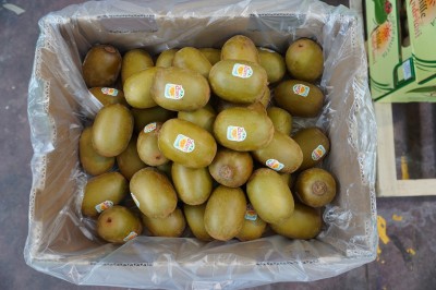 Foto Kiwi  2