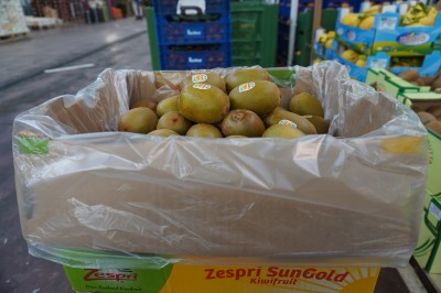 Foto Kiwi  3