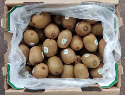 Foto Kiwi Varietà Green Origine Italia  Calibro 22 Marchio Zespri 3