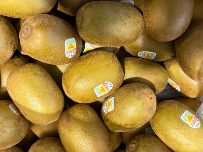 Foto Kiwi Gold Calibro 134/150 Origine Italia Marchio Zespri 2