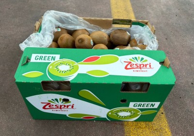 Foto Kiwi Green Calibro 25 Origine Italia Marchio Zespri       1