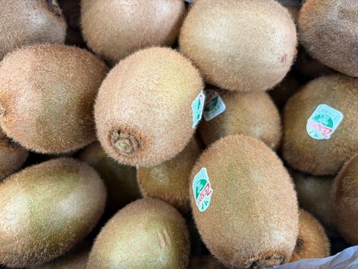 Foto Kiwi Green Calibro 25 Origine Italia Marchio Zespri       2