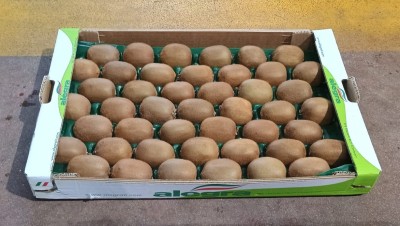 Foto Kiwi Varietà Hayward Lavorazione In Padella  Calibro 27 Origine Italia Marchio Alegra  1