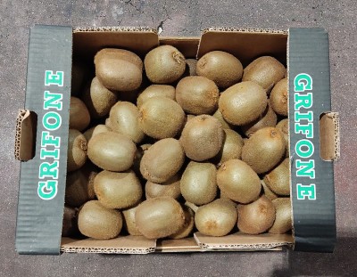 Foto Kiwi Varietà Hayward Calibro 20 Origine Italia Marchio Grifone 3