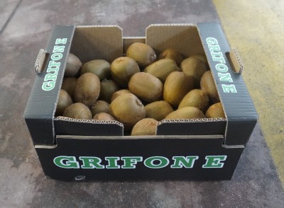Foto Kiwi Varietà Hayward Calibro 20 Origine Italia Marchio Grifone            1
