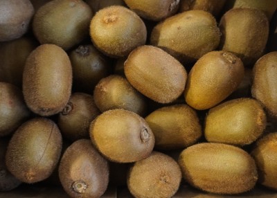 Foto Kiwi Varietà Hayward Calibro 20 Origine Italia Marchio Grifone            2