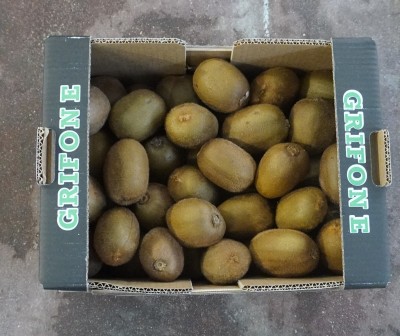 Foto Kiwi Varietà Hayward Calibro 20 Origine Italia Marchio Grifone            3