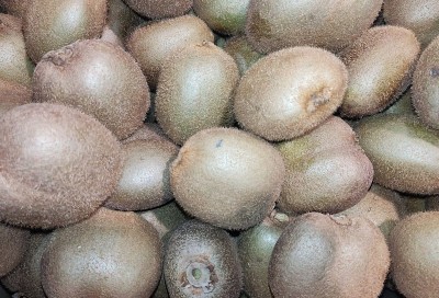 Foto Kiwi Hayward Calibro 27 Origine Italia Marchio Grifone      2