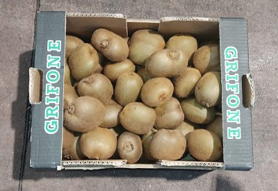 Foto Kiwi Hayward Calibro 27 Origine Italia Marchio Grifone      3