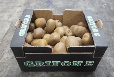 Foto Kiwi Varietà Hayward Calibro 27 Origine Italia Marchio Grifone 1