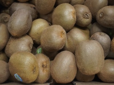 Foto Kiwi Varietà Hayward Calibro 27 Origine Italia Marchio Grifone 2