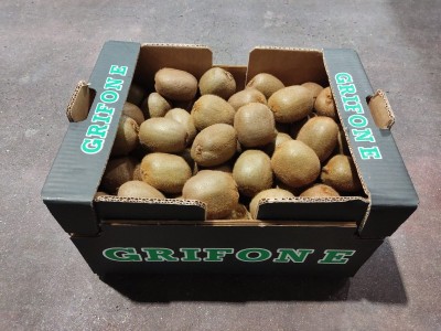 Foto Kiwi Hayward Calibro 25 Origine Italia Marchio Grifone  1