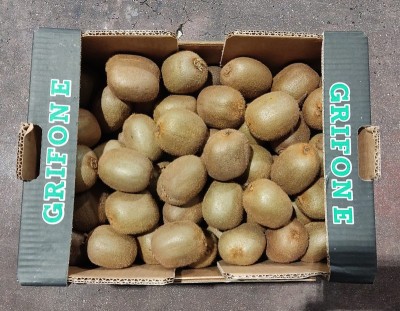 Foto Kiwi Hayward Calibro 25 Origine Italia Marchio Grifone  3