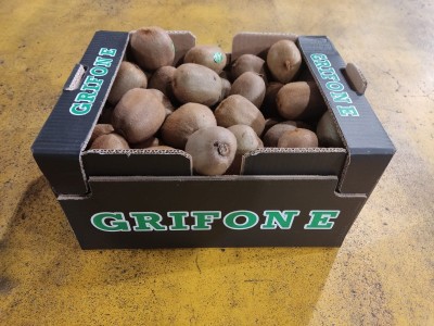 Foto Kiwi Varietà Calibro 25 Origine Italia Marchio Grifone              1
