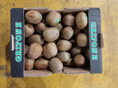 Foto Kiwi Varietà Calibro 25 Origine Italia Marchio Grifone              3